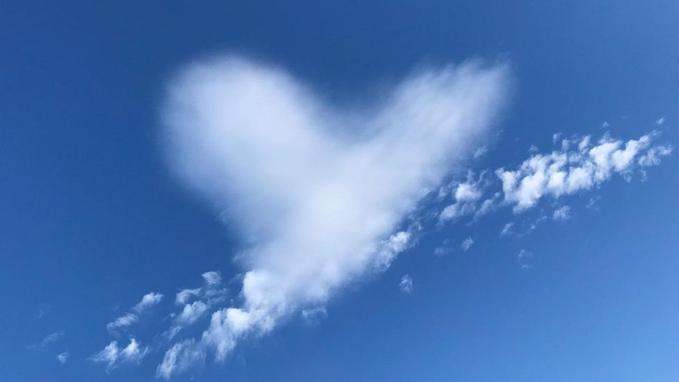 Valentine's Day Weather Watchers pics to melt your heart BBC Weather