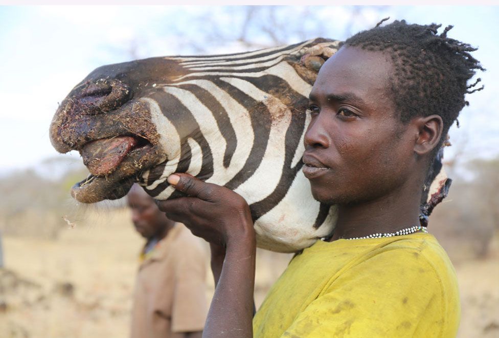 Man carrying zebra head
