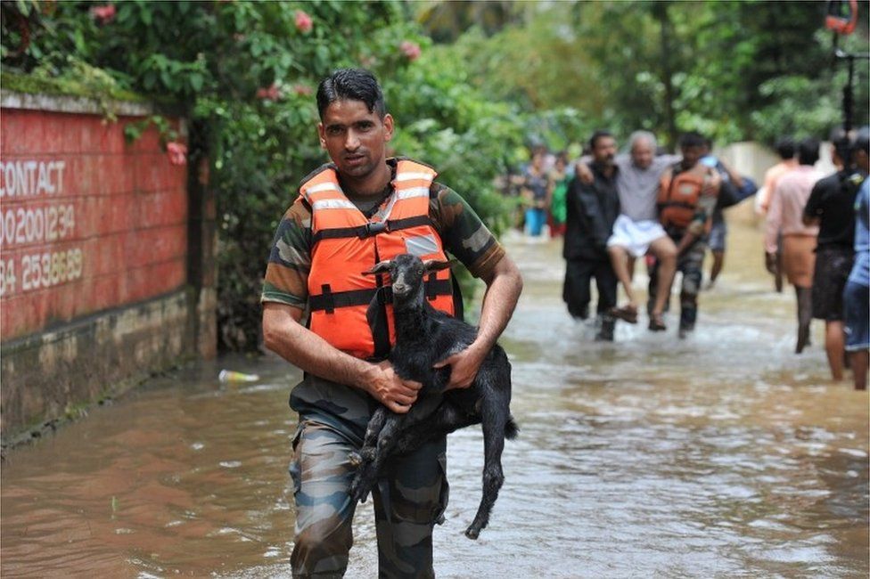 Rescue personnel carry animals and elderly people to safety from flood waters during a rescue operations at Mala village in Thrissur District, in the south Indian state of Kerala, on August 19, 2018.