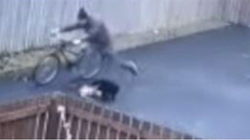 CCTV footage of attack on cat