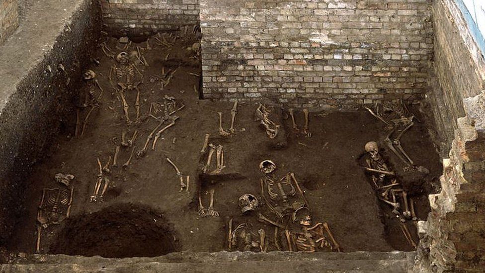 Skeletons, St John's College, Cambridge