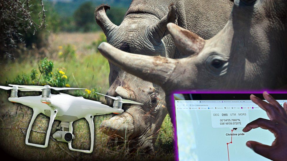 Составное изображение носорога, дрона и ноутбука