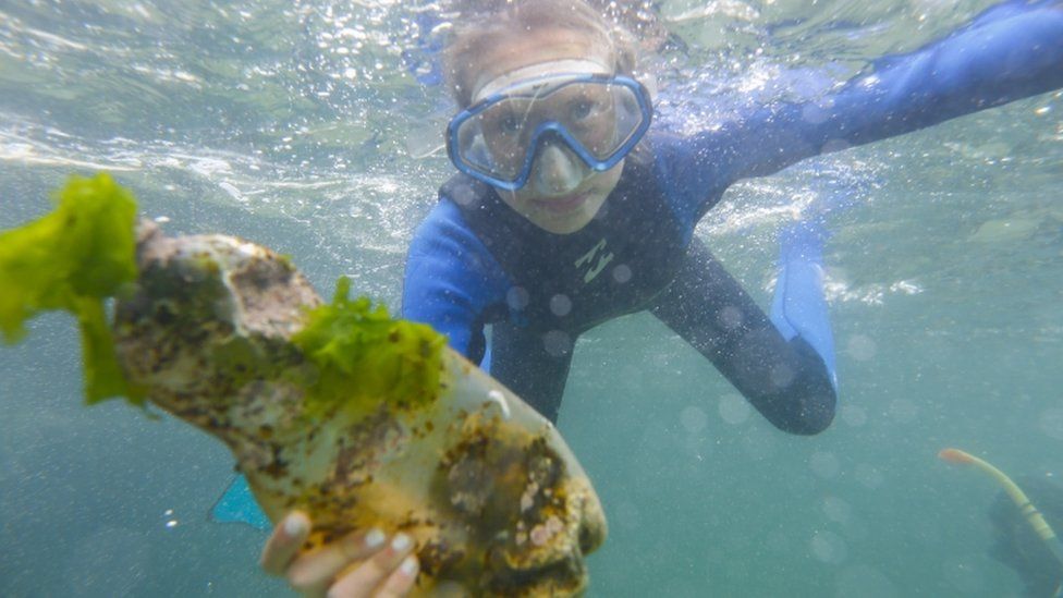 Plastic bottle in the sea