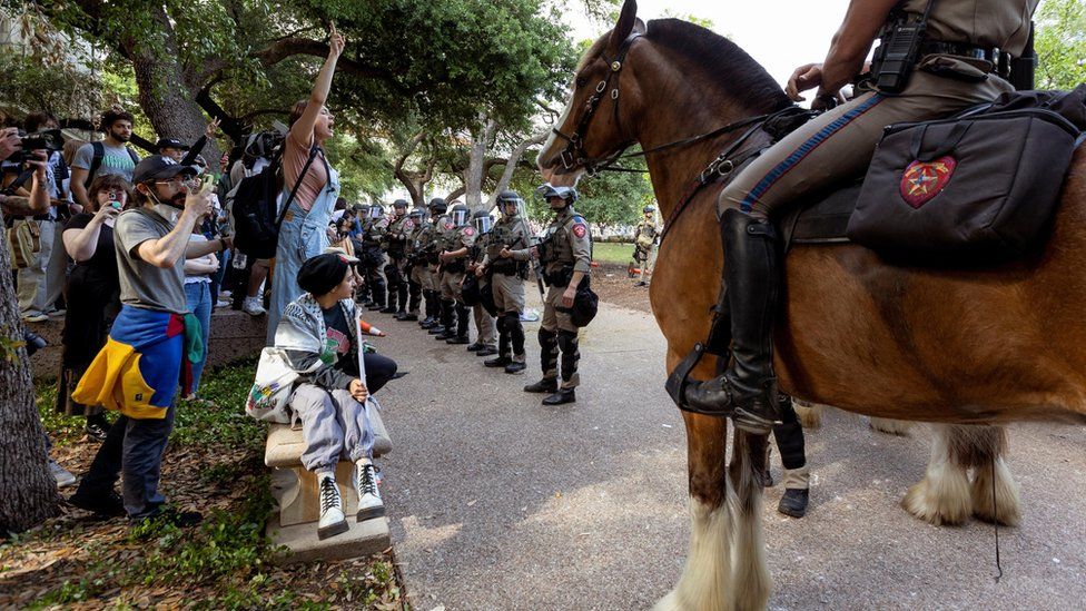 Protesters, police, horse