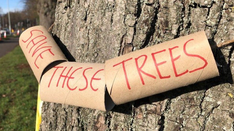 A DIY banner around a tree made of toilet rolls saying save the trees