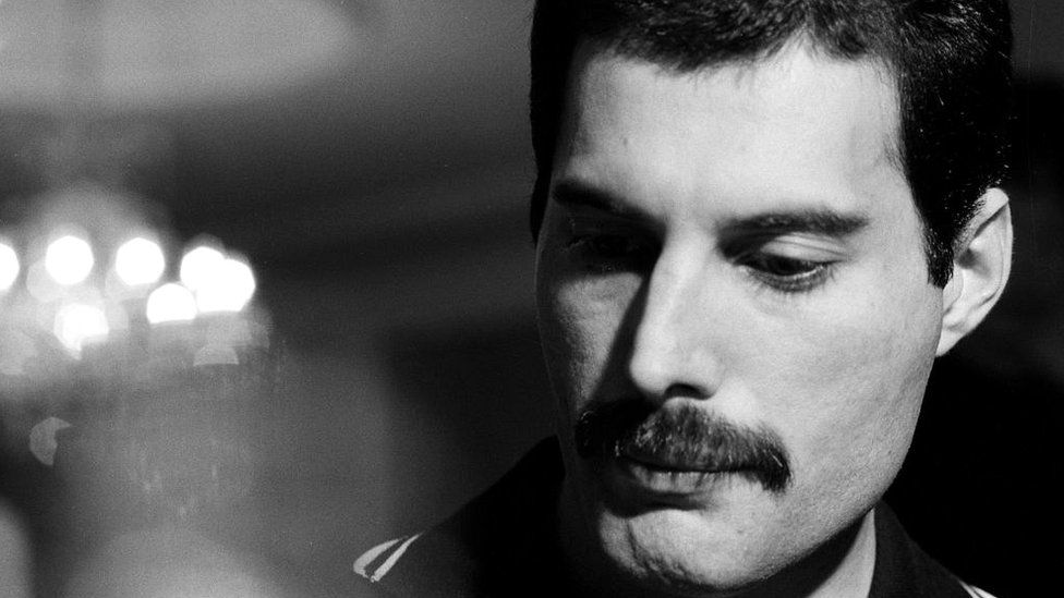 _109373459_freddie1.jpg