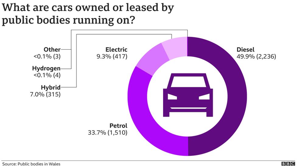 A graphic showing what cars in Wales' public sector run on