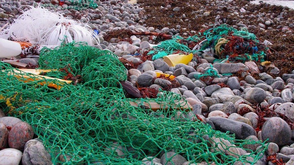 Netting on beach