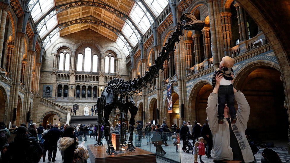 Visitors look a Dippy the Diplodocus at the Natural History Museum in London