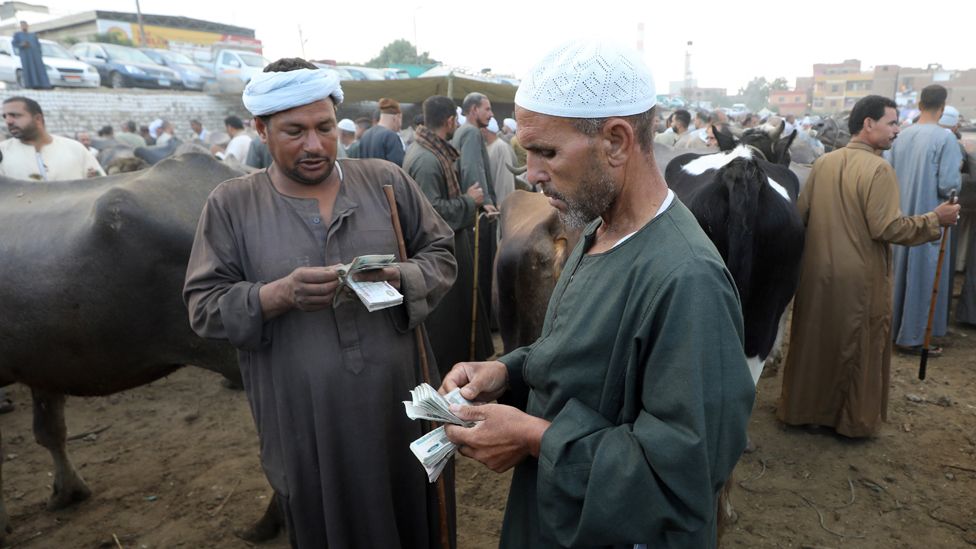 Men count money as people purchase animals ahead of Eid al-Adha at a market in Embama district, Giza, Egypt - Thursday 15 June 2023