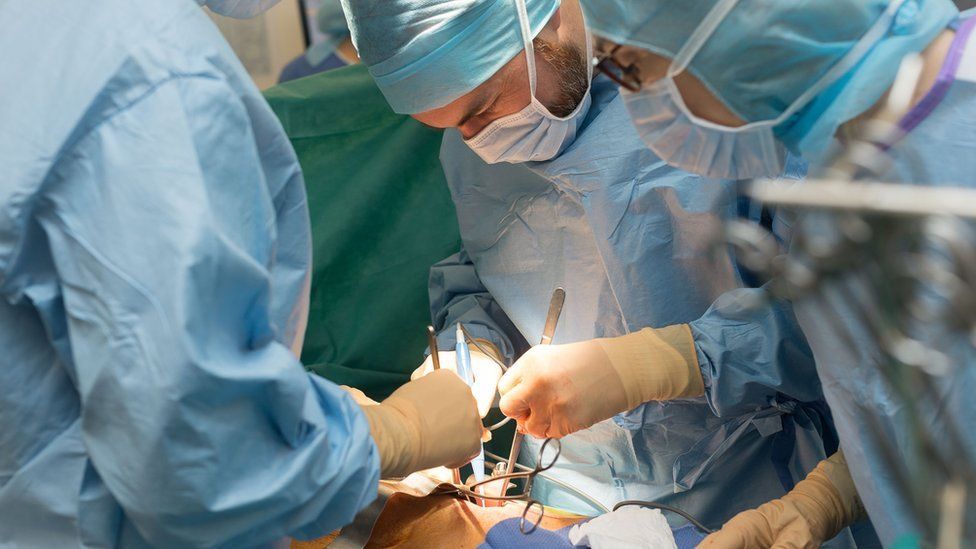 A total of organ transplants were performed in April this year