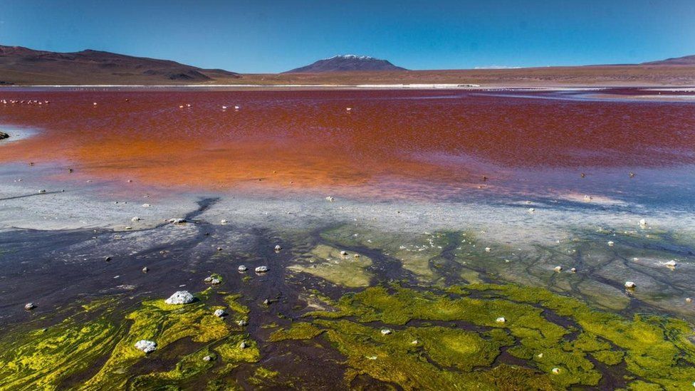 Panorama Pelangi Yang Menakjubkan Di Padang Garam Bolivia