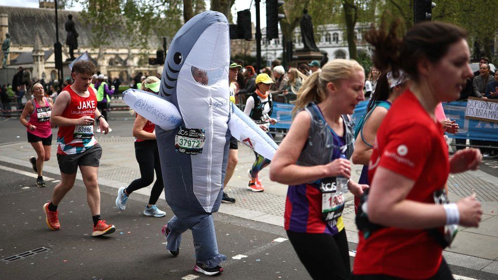 shark-costume.