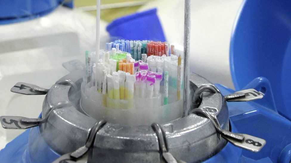 Japanese city helps women freeze eggs to boost birth rate BBC News