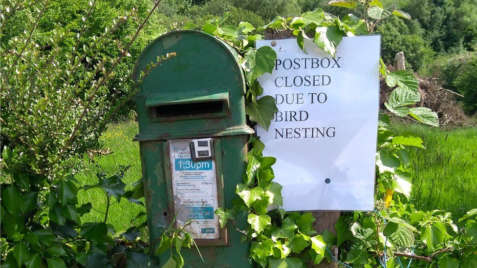 An Irish post-box