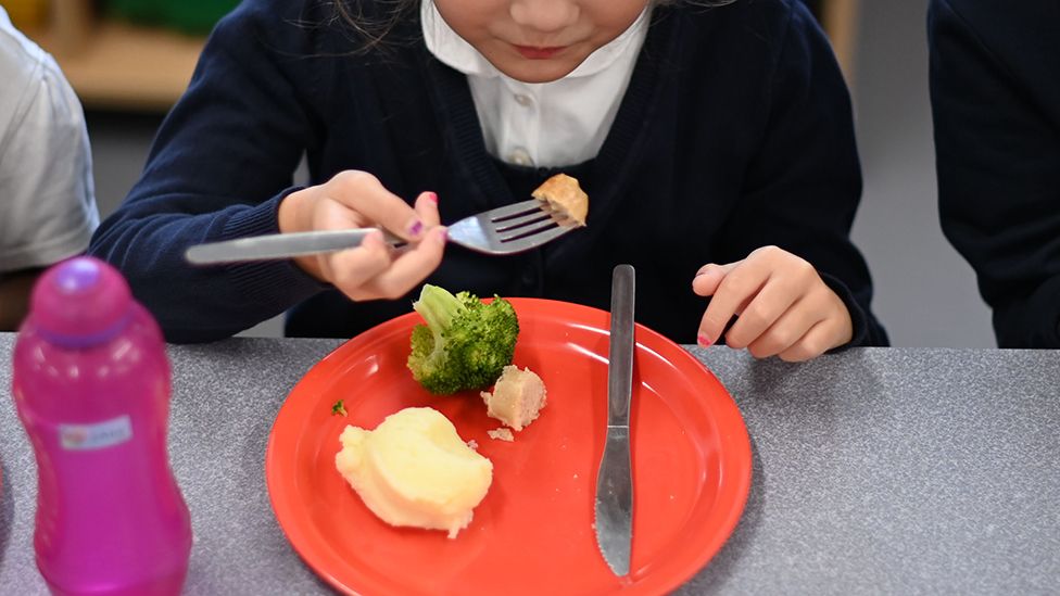 Child eating school meal, face not shown