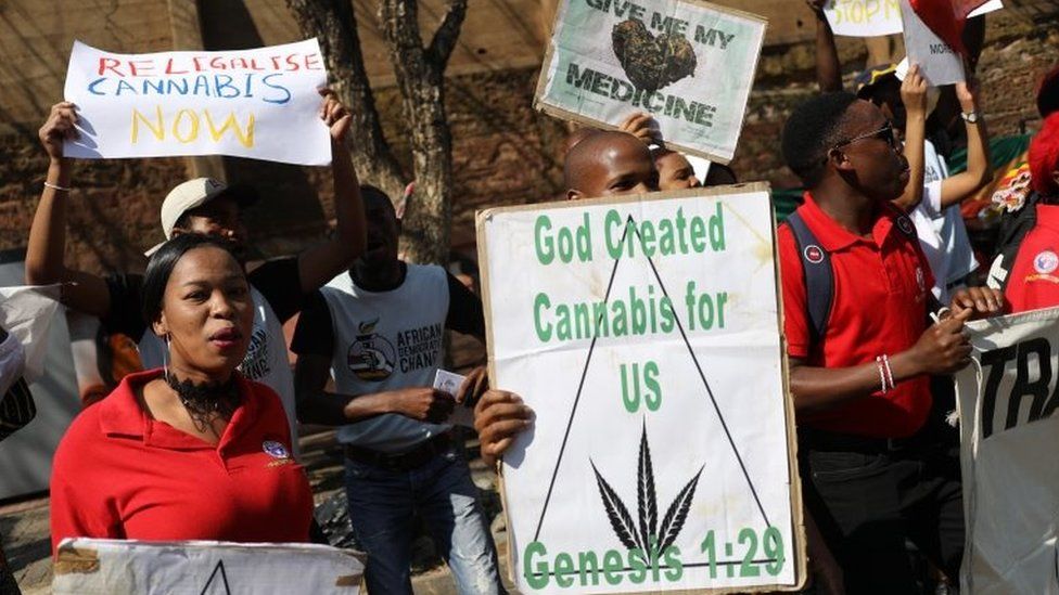 Supporters of the legislation of marijuana celebrate after the Constitutional Court ruled that the personal use and growing of marijuana in South Africa is legal, Johannesburg, South Africa, 18 September 2018