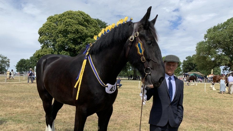 Horse with groom