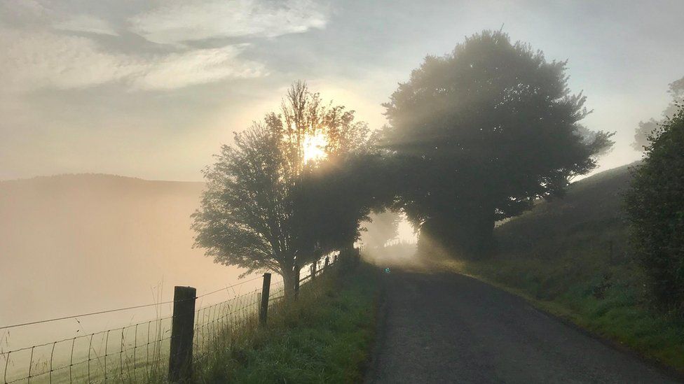 Sunshine through morning mist