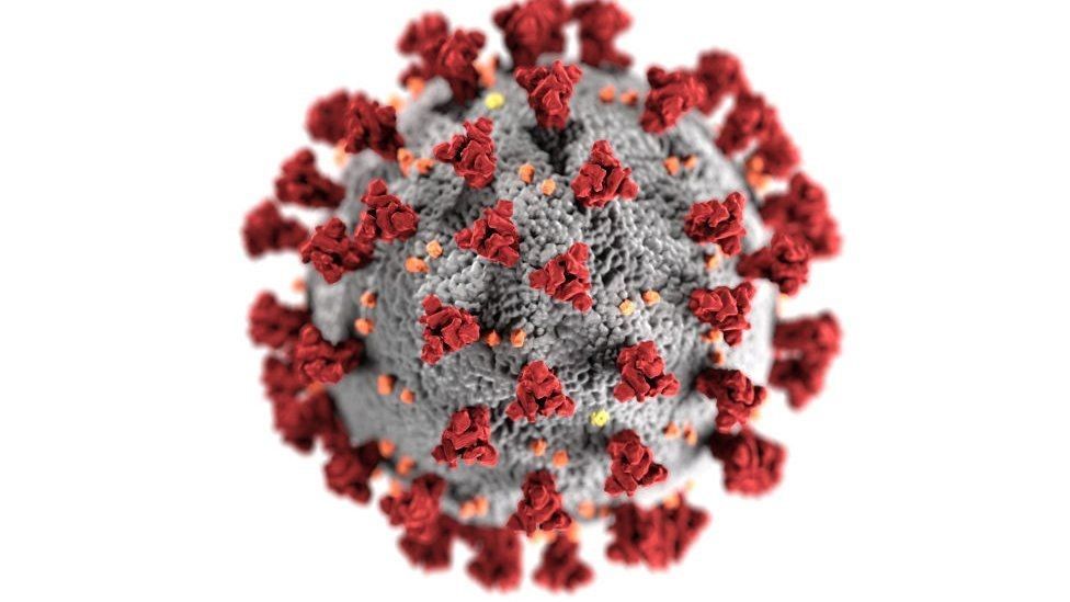 What's going on in the world on Monday: Coronavirus