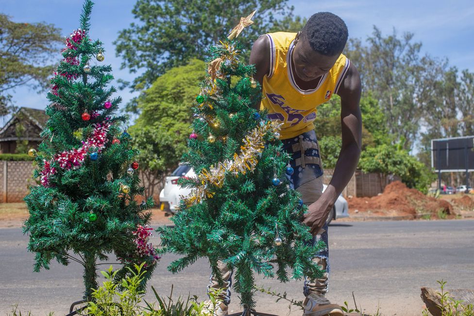 A vendor arranging Christmas trees, Harare, Zimbabwe - Tuesday 12 December 2023