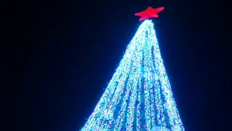 Why do we have Christmas trees? BBC Newsround