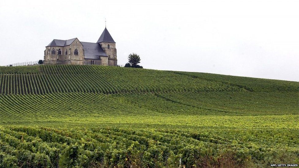 This file photo taken on September 23, 2007, shows a champagne vineyard in Villenauxe-la-Grande, near Epernay, eastern France.