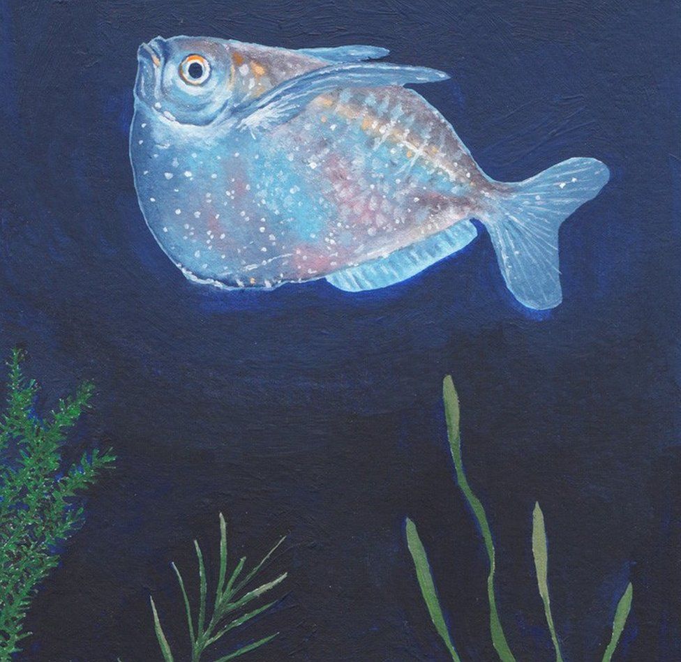Silver Hatchetfish