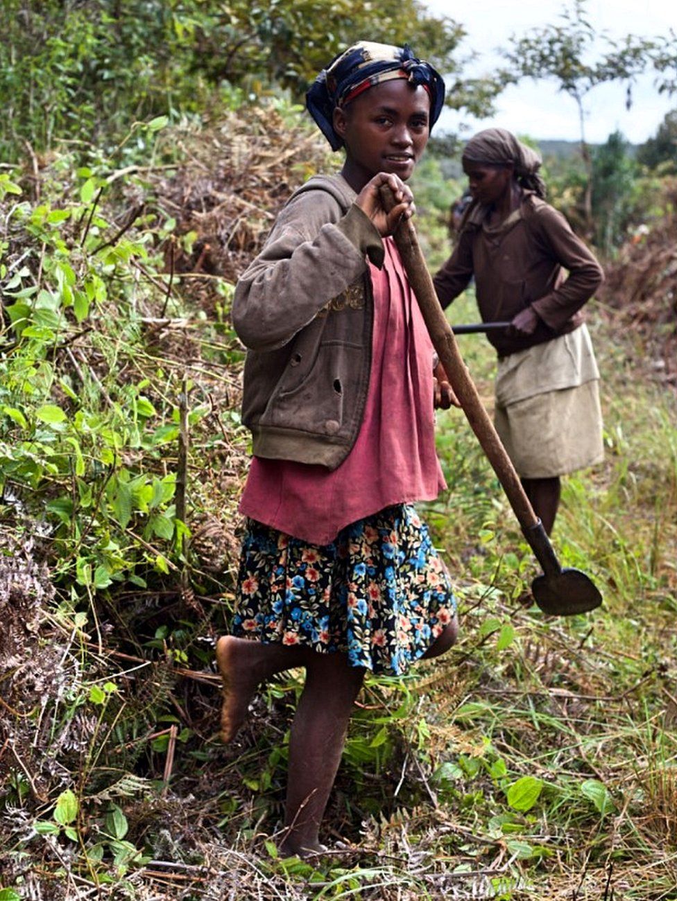 Village residents are employed in forest restoration projects