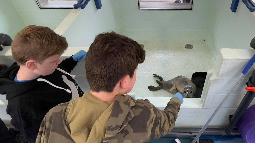Oliver and Daniel at the seal hospital
