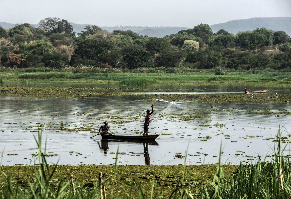 The upper reaches of the White Nile in Uganda