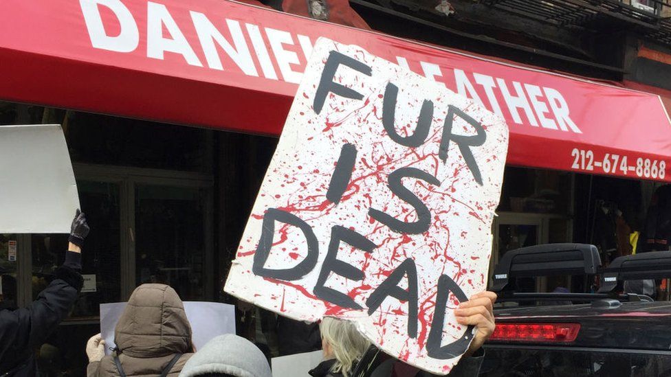 Man holding 'fur is dead' protest sign