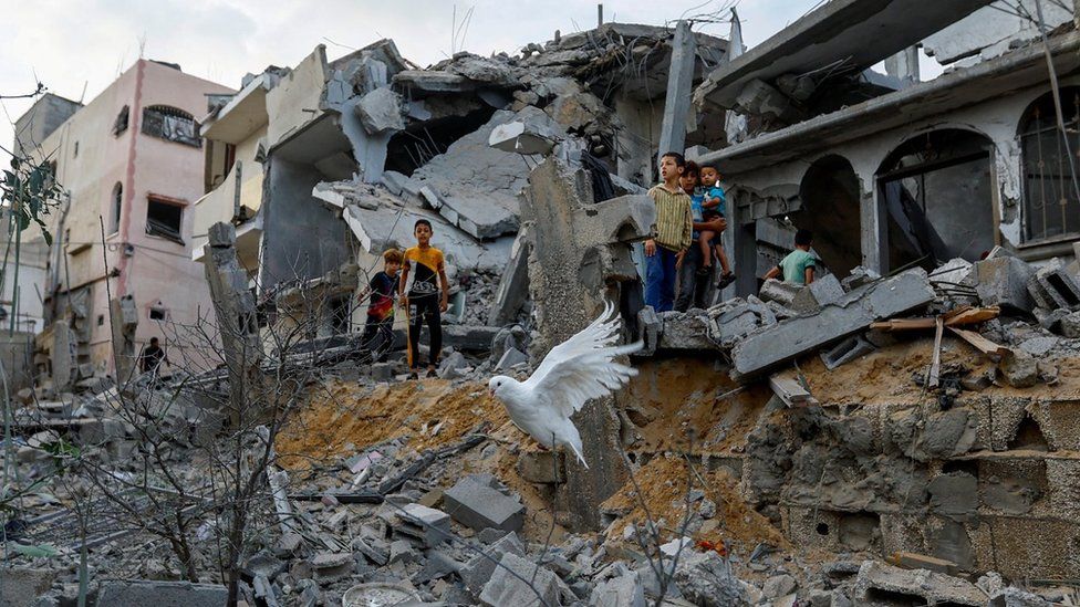 A dove flies over the remains of buildings destroyed in Israeli air strikes in Khan Younis, in the Gaza Strip (11 October 2023)