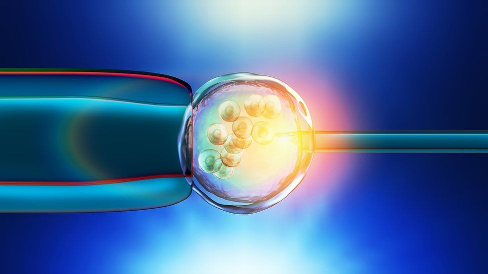Illustration of a in-vitro fertilization of an egg cell