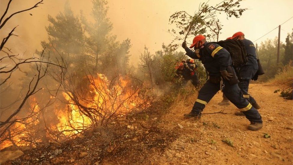 Evia wildfires