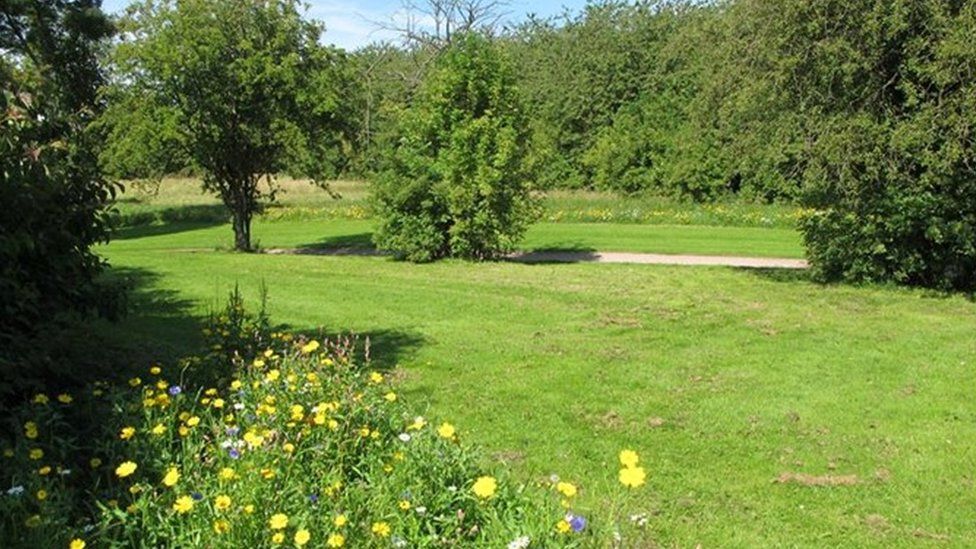 Meadows created in Fife to encourage pollinators BBC News