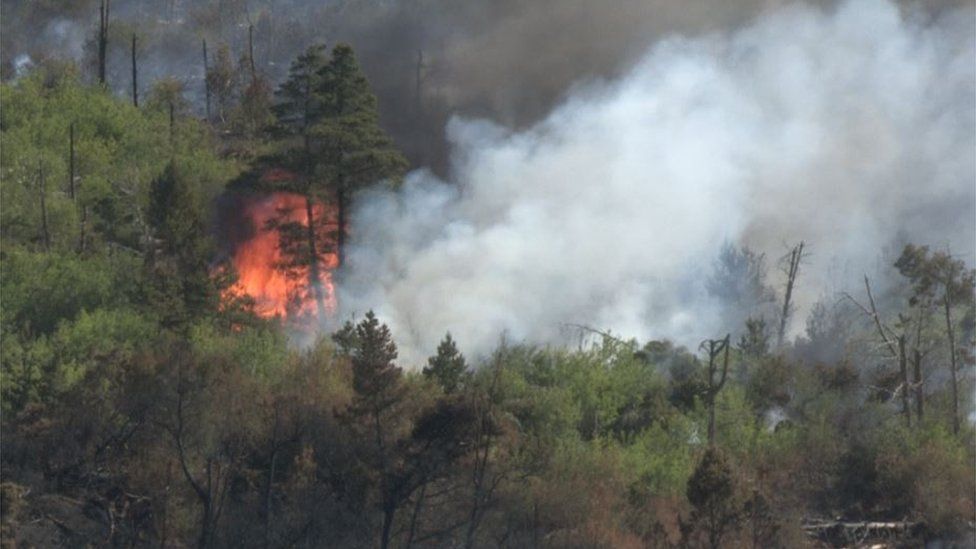 Up to 200 firefighters tackle three wildfires - BBC News