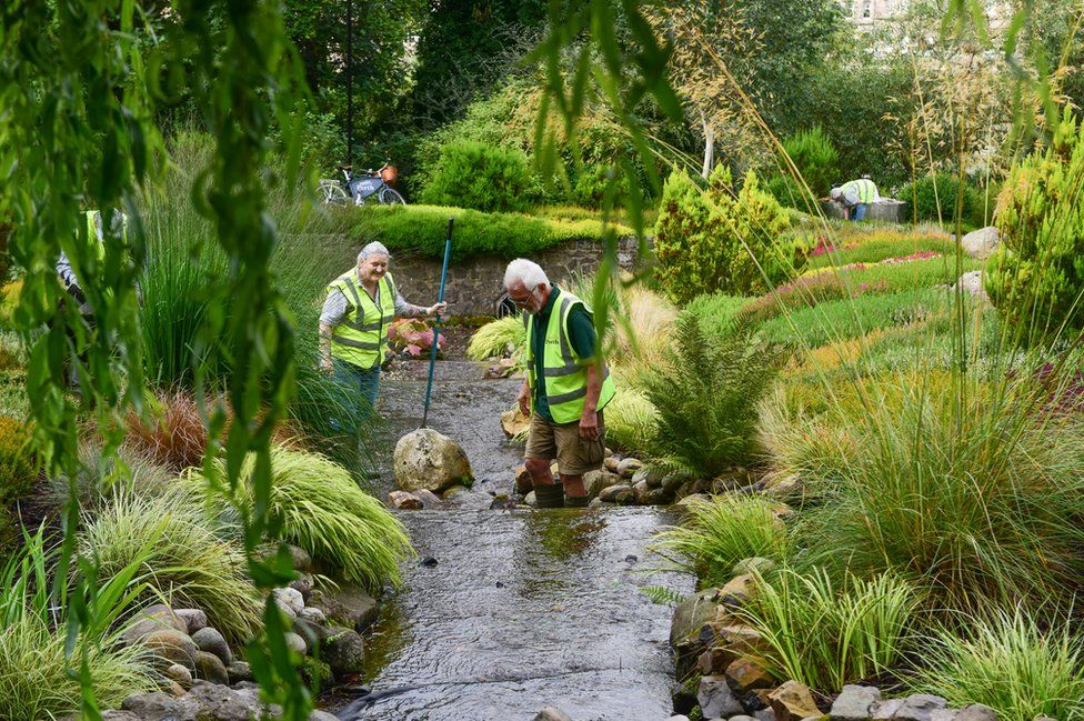 Volunteers tidy the stream that runs through the heather collection