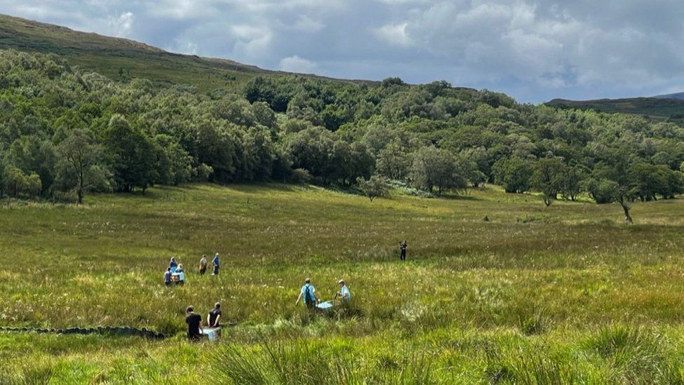 Teams of volunteers carrying the voles into their new habitat