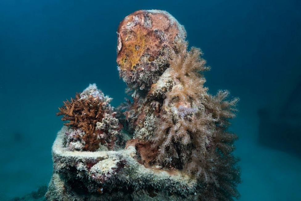 Amazing underwater sculptures appear on Great Barrier Reef BBC Newsround