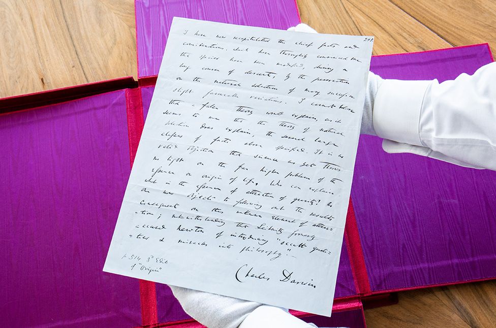 Charles Darwin: Autographed document could fetch record price - BBC News