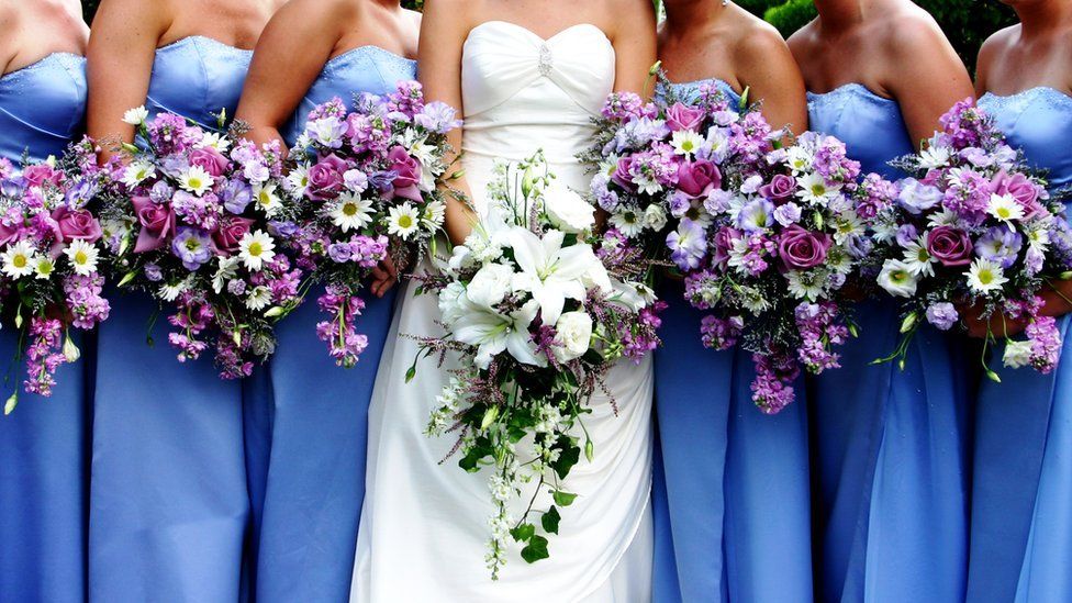 A row of bridesmaids and a bride