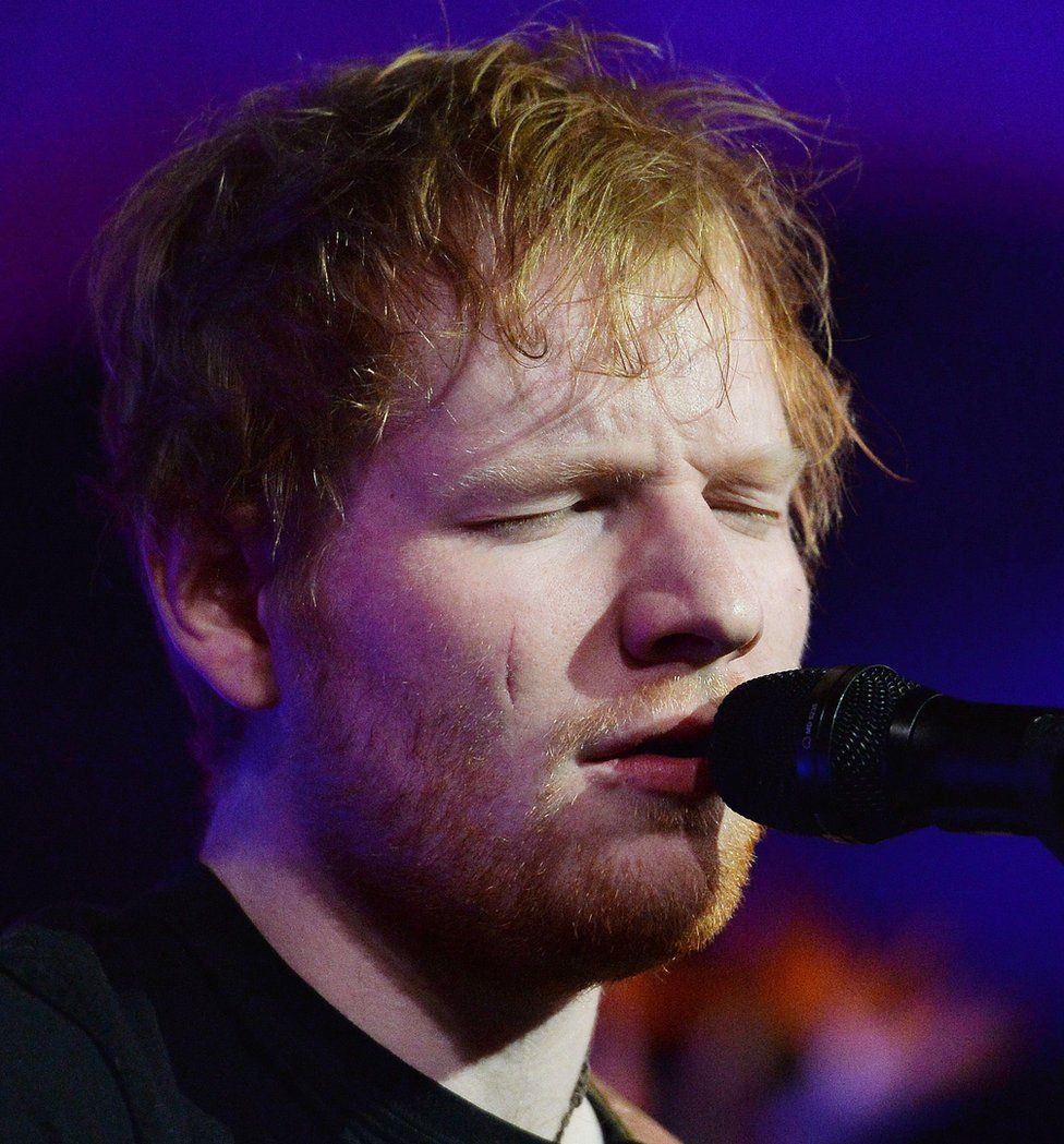 Ed Sheeran performing at the hospice fundraising event at the Natural History Museum