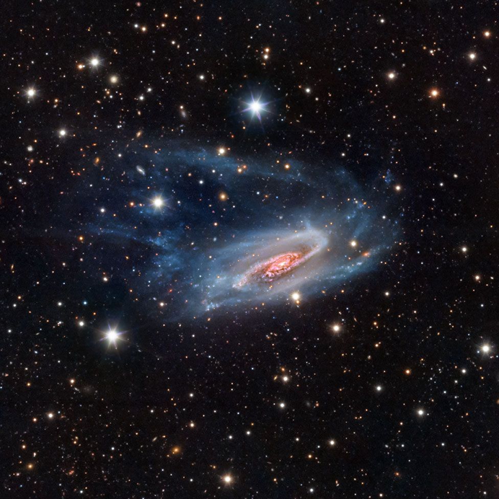 An astronomy image showing NGC 3981 galaxy by Bernard Miller