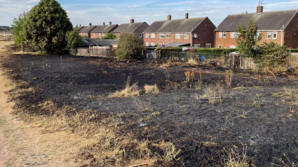 Blackened grass following the fire in Bestwood