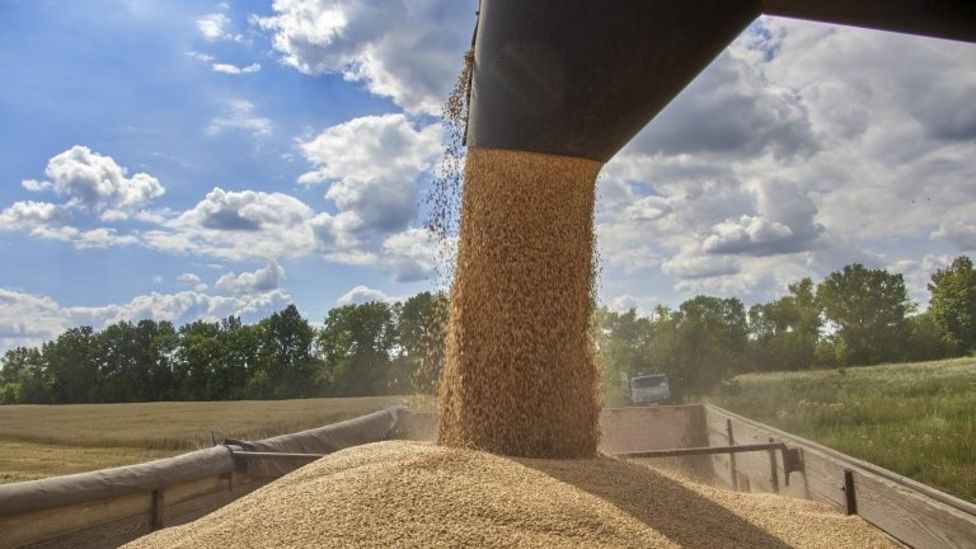 Poland No Longer Supplying Weapons To Ukraine Amid Grain Row - BBC News