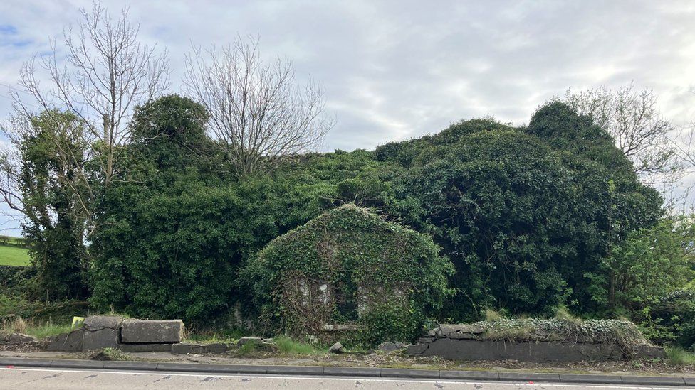 A stone building almost completely grown over with ivy and other vegetation