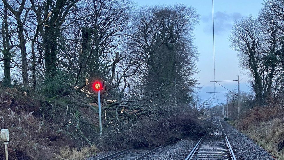 Fallen tree at Whitecraigs on the Glasgow Central to Neilston line