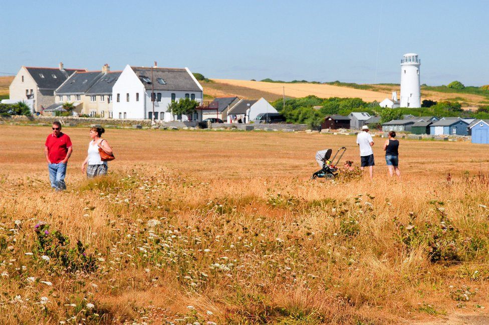 The continuing heatwave has turned the grass brown at Portland Bill.