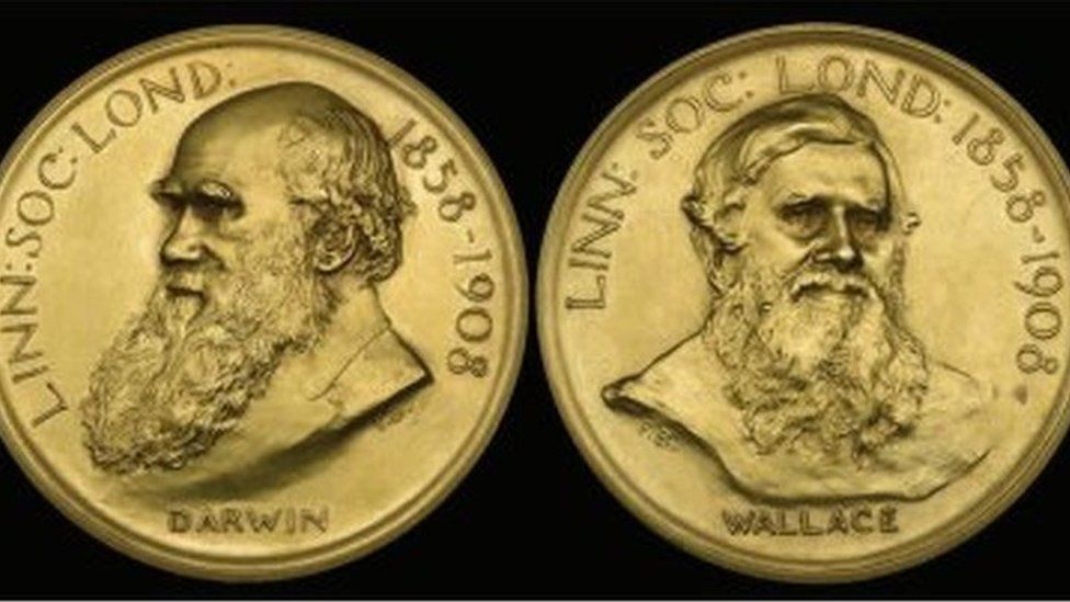 Gold Darwin-Wallace medal
